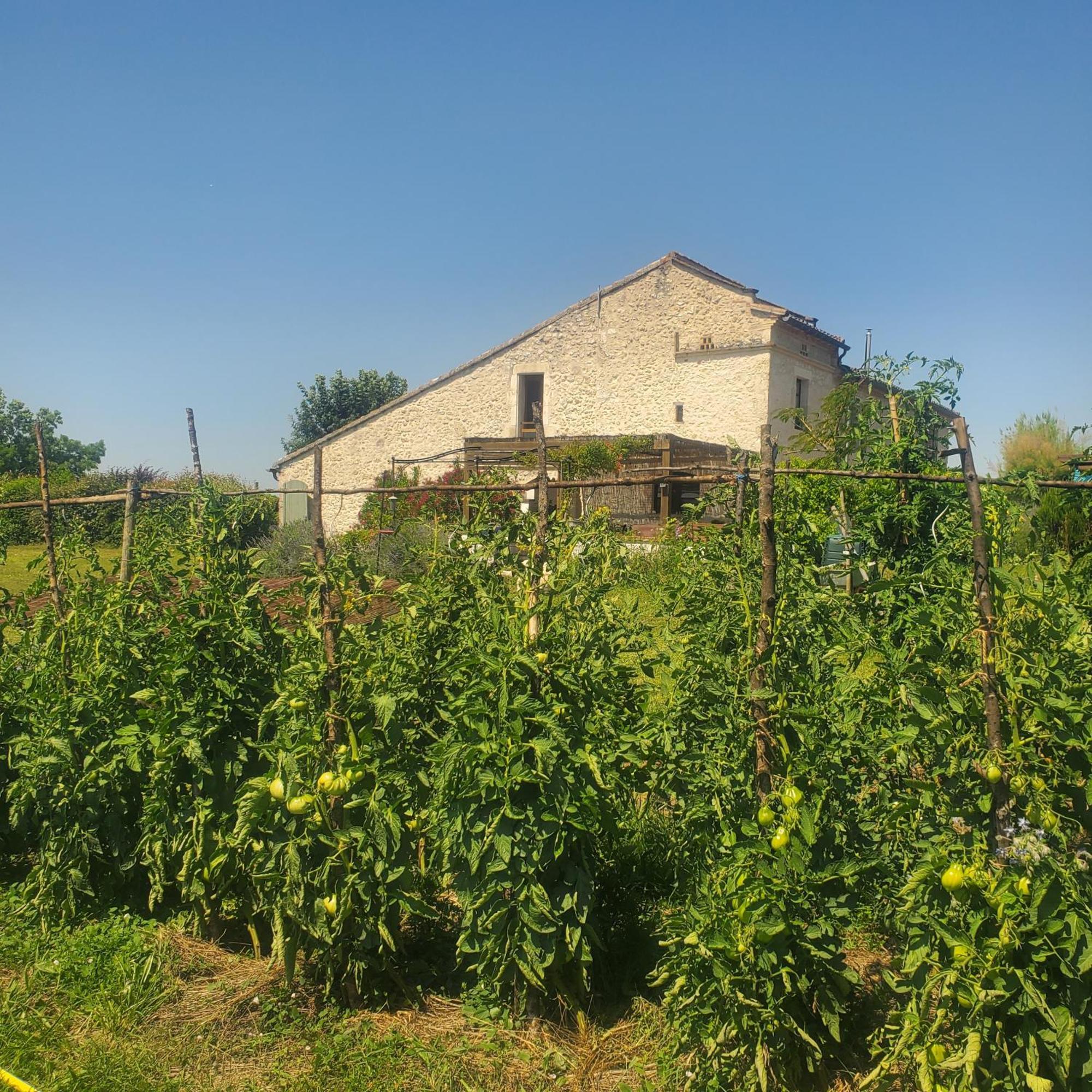 Au Mas De Janita Hotel Cahuzac-sur-Vère Exterior foto